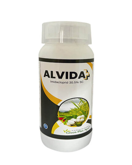 Alvida Plus