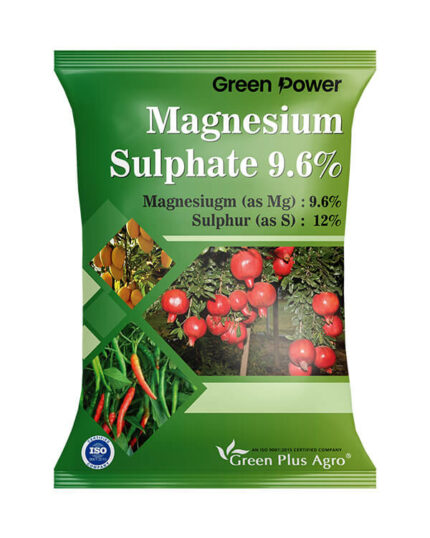 GP Magneisum Sulphate